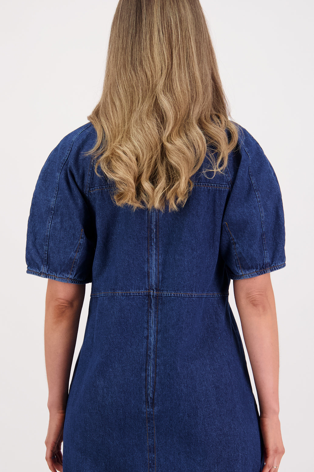 Briarwood Sheri Denim Dress