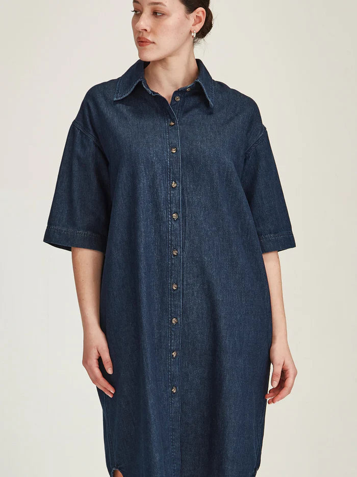 Alexa Denim Dress