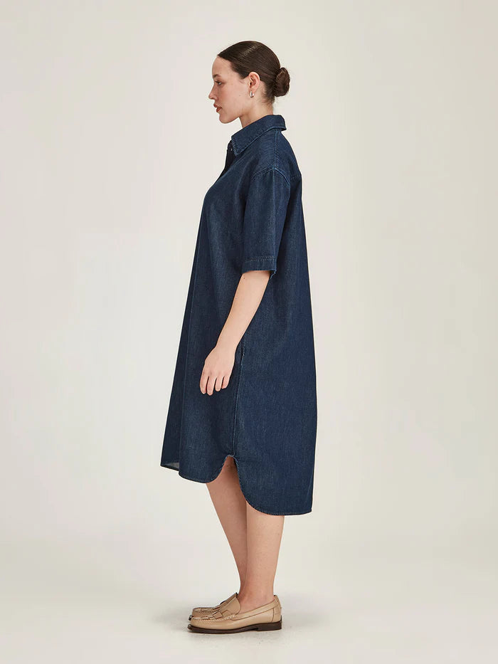 Alexa Denim Dress