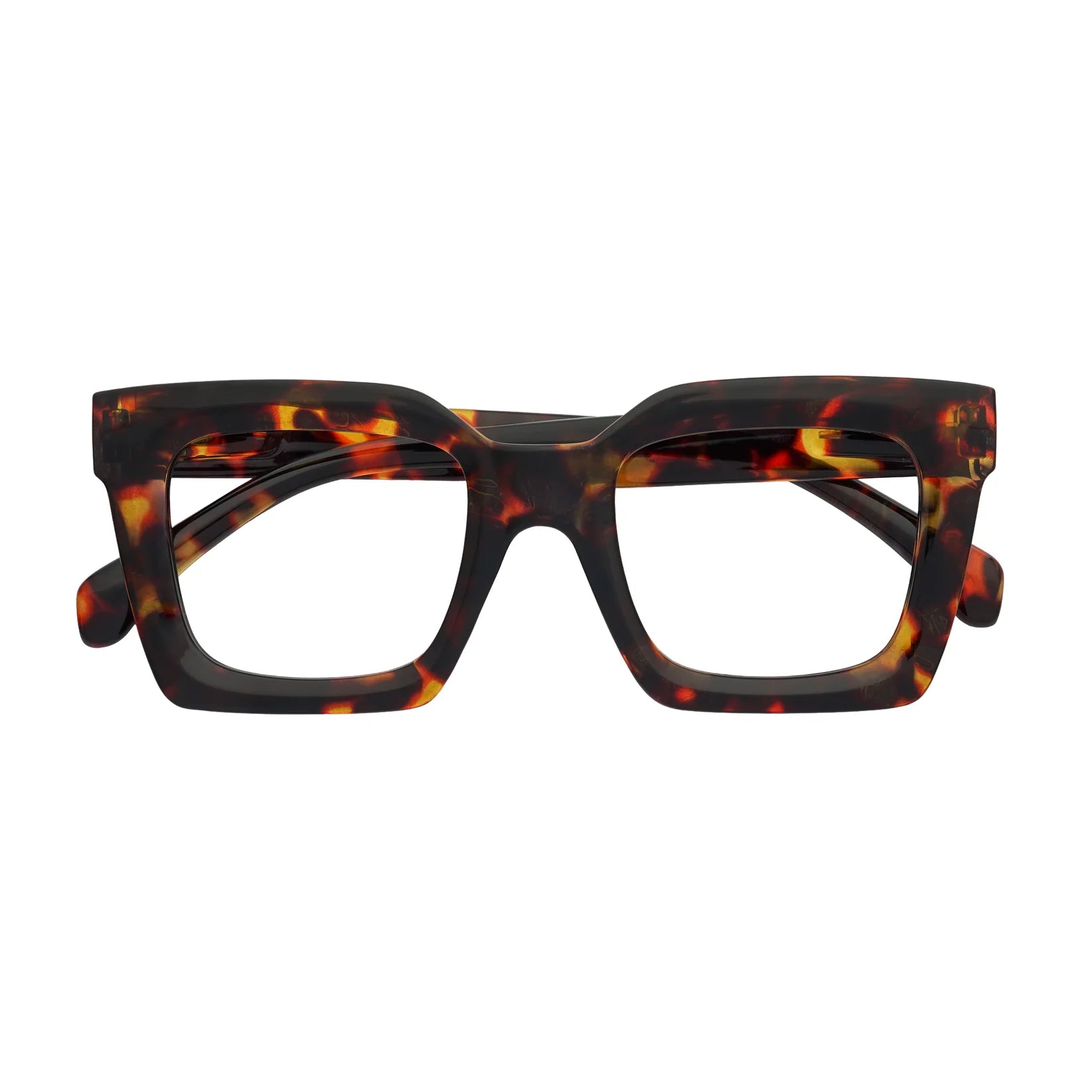 Asher - Tortoise Shell