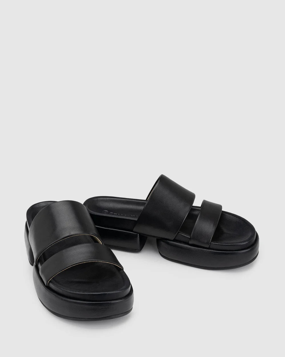 Latitude Slide -  Black