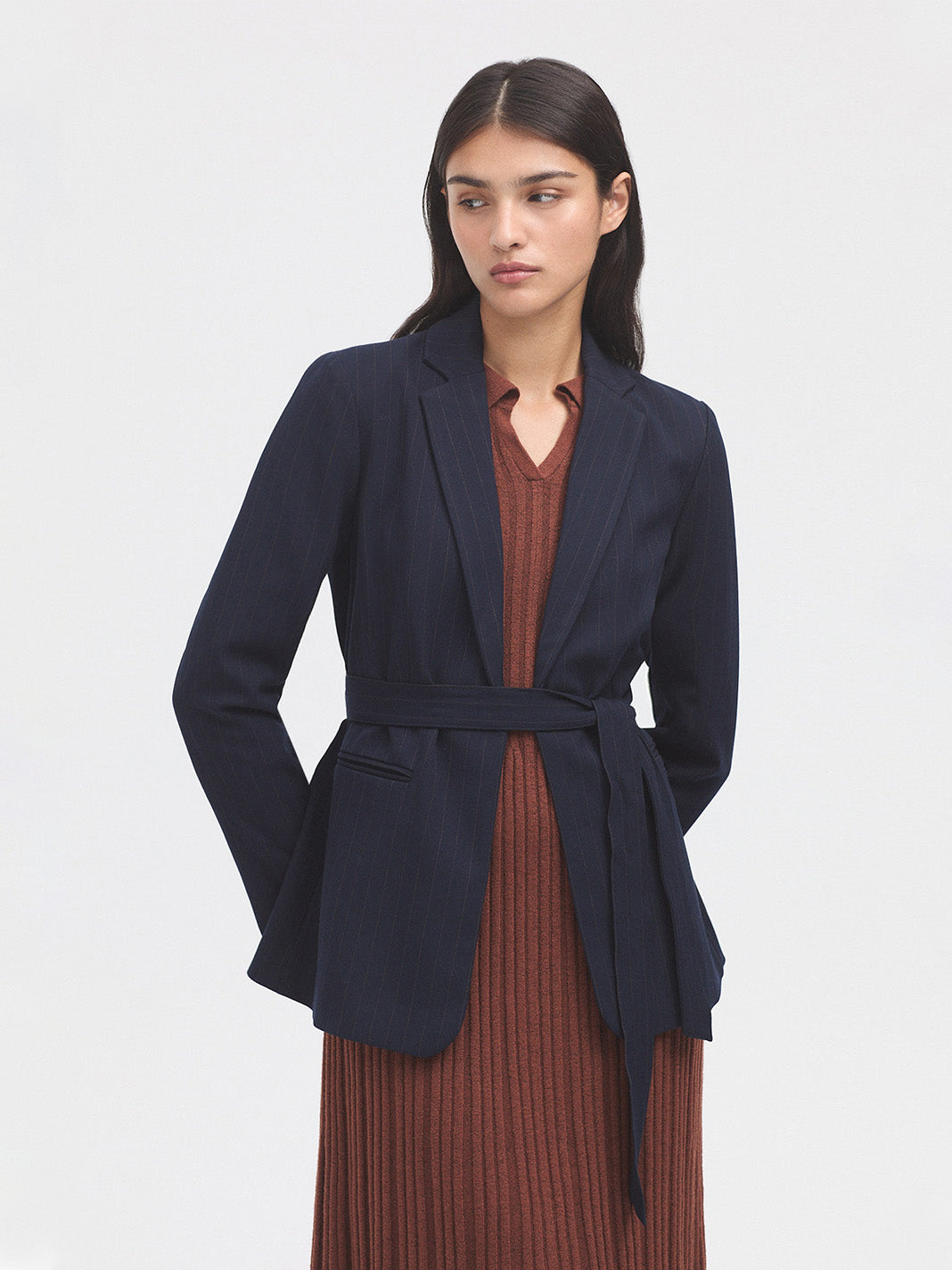 Nice Things Pinstripe Blazer - Navy